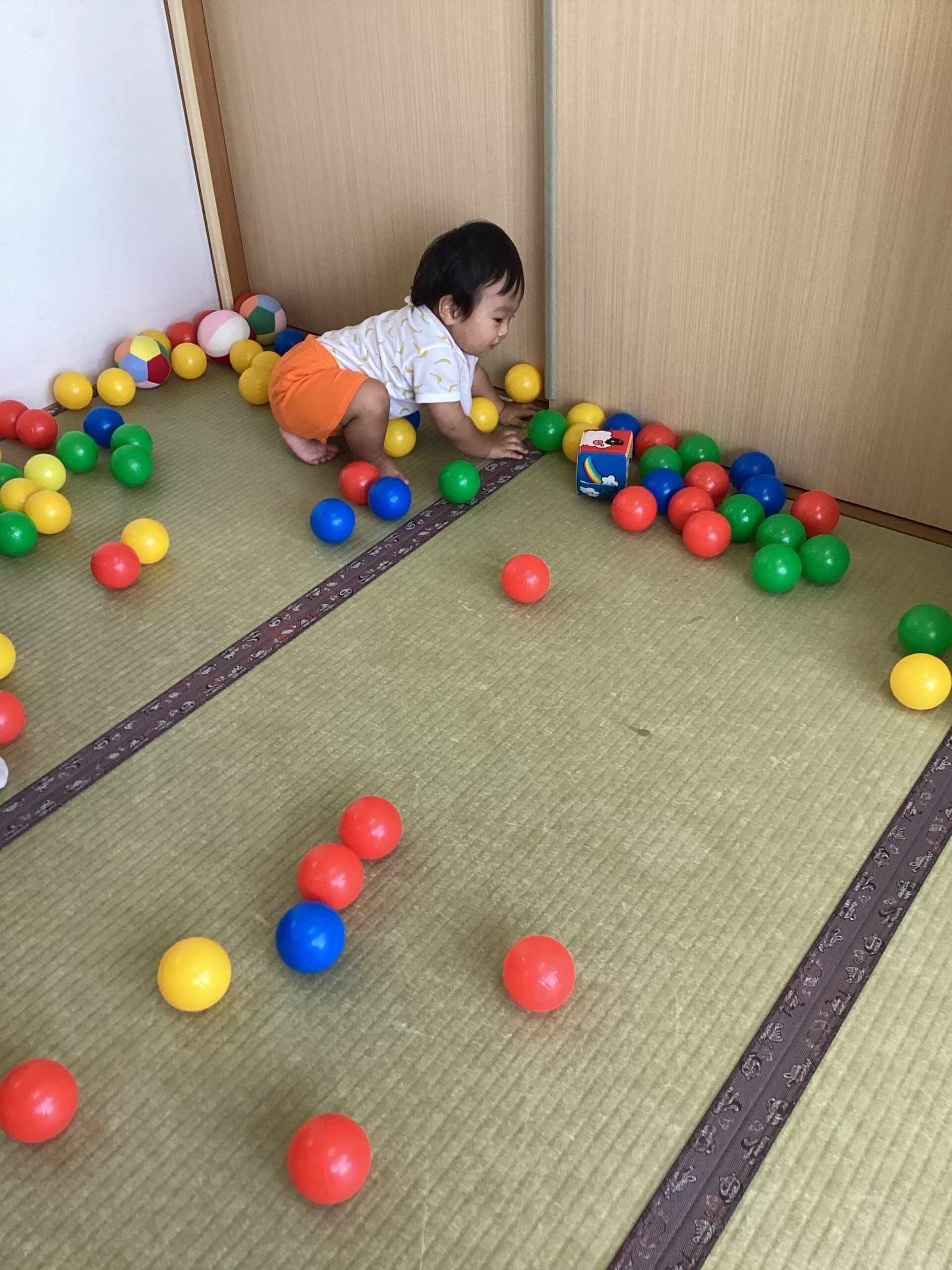 ギャラリー